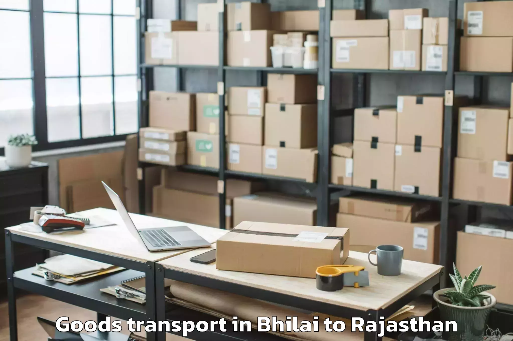 Reliable Bhilai to Pindwara Goods Transport